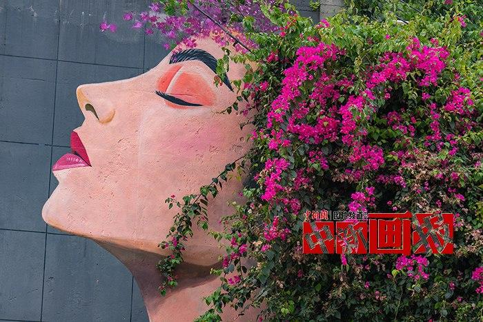 “花季少女”生命力滿(mǎn)滿(mǎn)