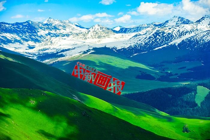 將夏天的“綠” 裝進(jìn)屏幕里，一組護(hù)眼壁紙請(qǐng)查收！