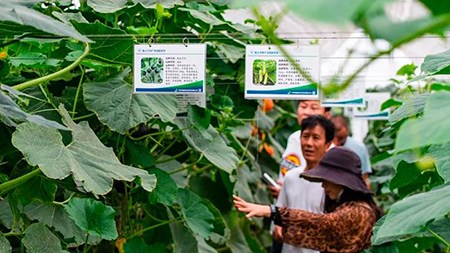 空間站與“卡脖子”，中國在警醒中爭取“逆襲