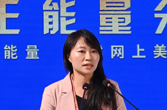 香港立法會(huì)議員陳穎欣：為國家發(fā)聲，展現(xiàn)真實(shí)的香港