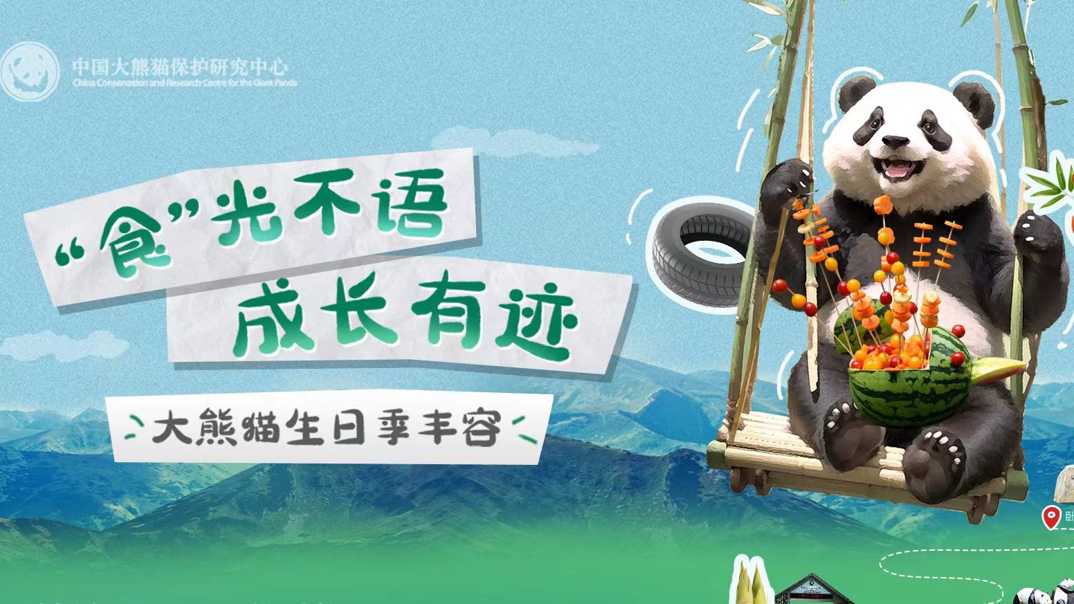  大熊貓也過中秋節(jié)？一起來看國(guó)寶的中秋禮物 