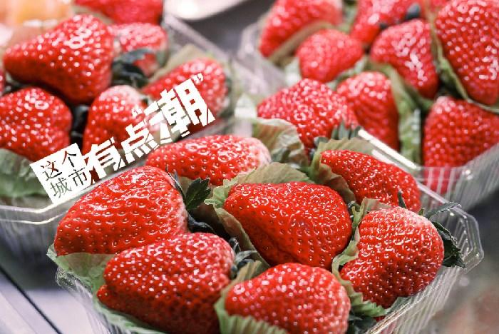丹東：這一口鮮甜，開啟冬日“莓”好時光