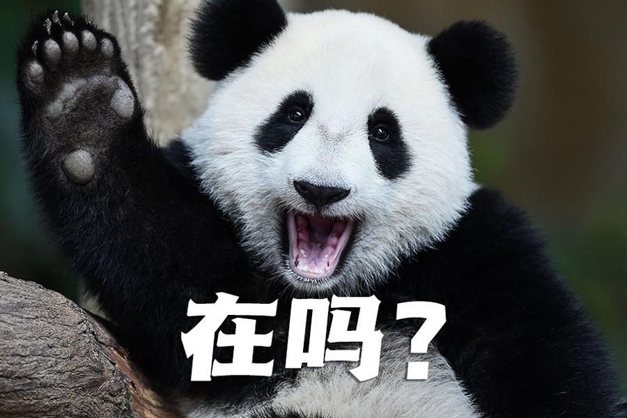 【世界微笑日特刊】嘿嘿，今天你笑了嗎？